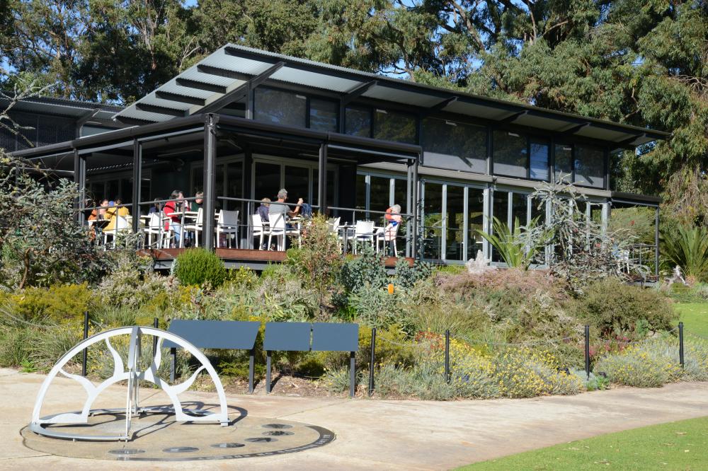 Zamia Cafe at May Drive Parkland in Kings Park
