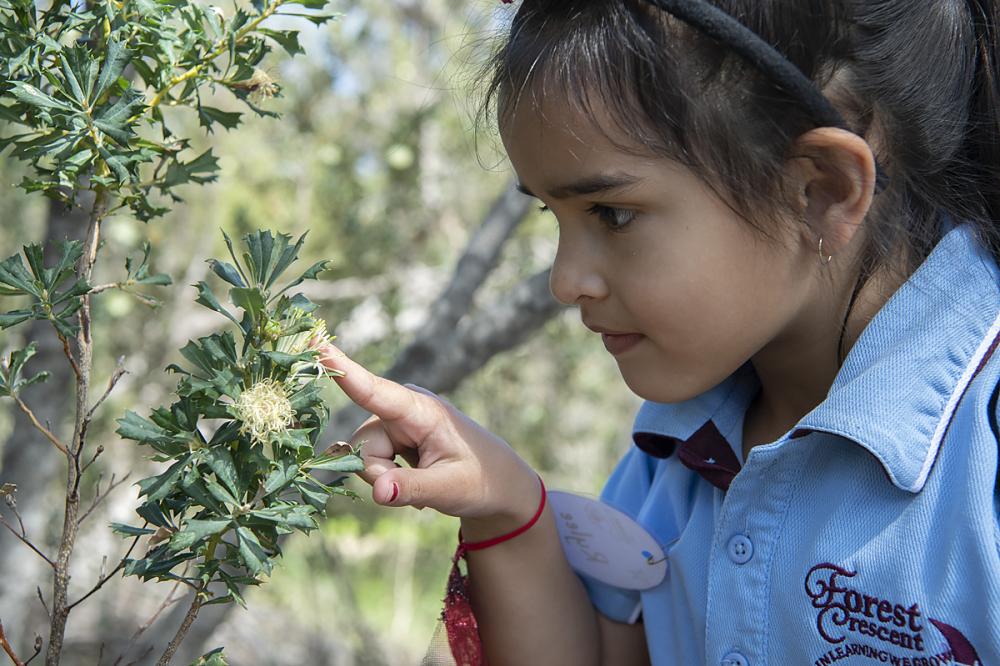 School child investigating the natural environment in Kings Park.
