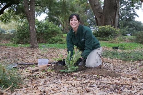 Kristy Budgen coordinates the Banksia garden