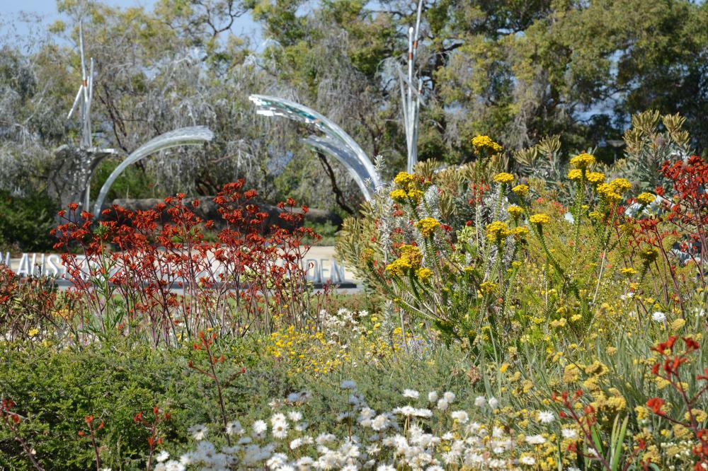 WA Botanic Garden entry from the mound