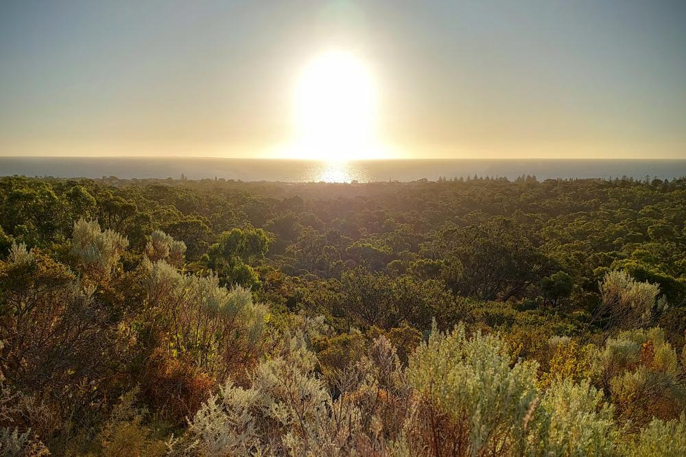 Ocean view from Bold Park just before sunset