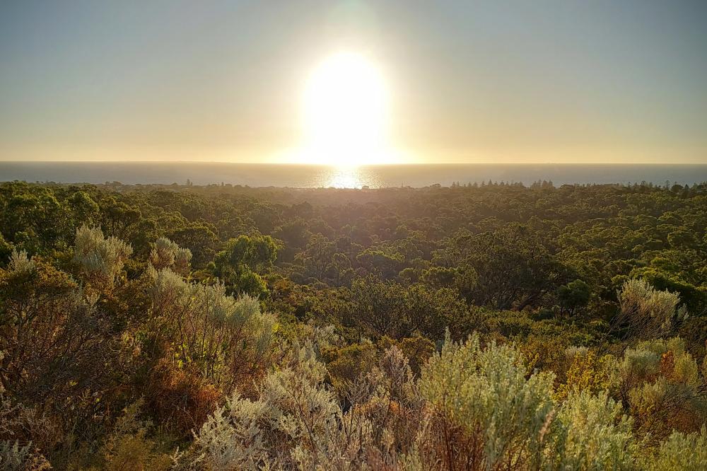 Ocean view from Bold Park just before sunset