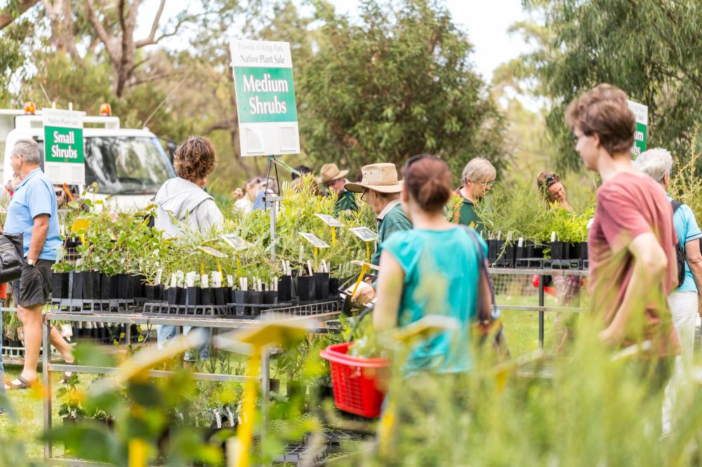 Friends of Kings Park Native Plant sale