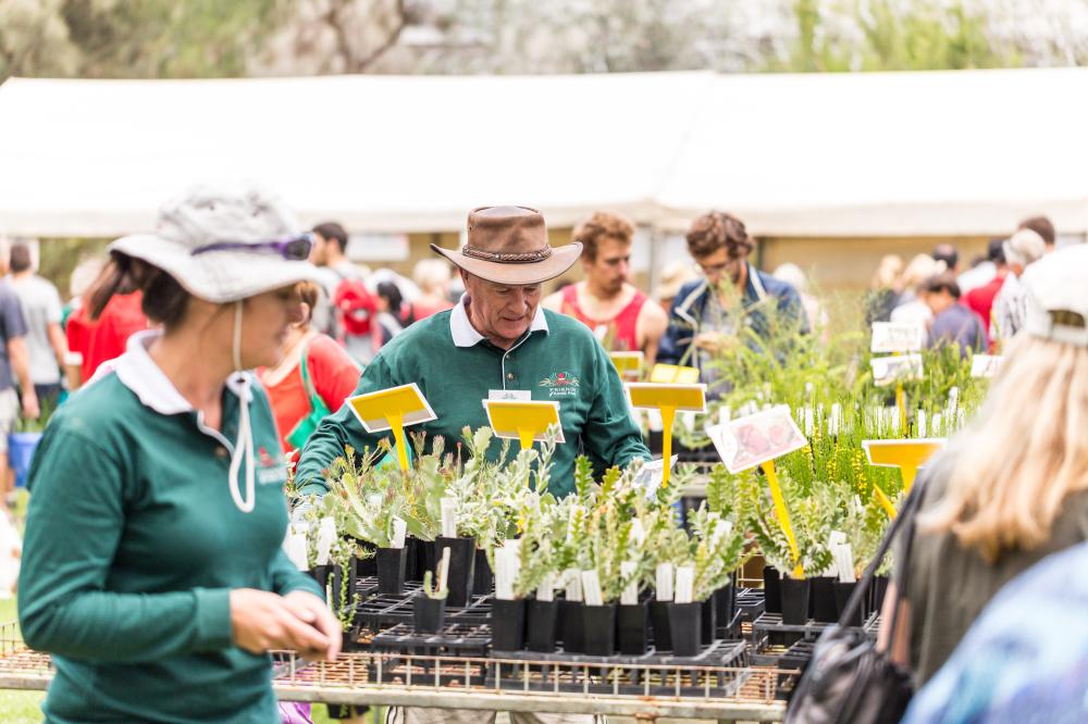 Friends of Kings Park Native Plant sale