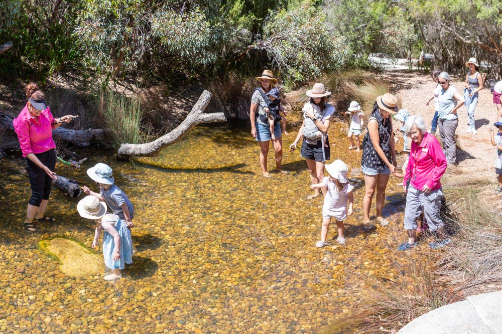 Children playing in the Paperbark Waterhole.