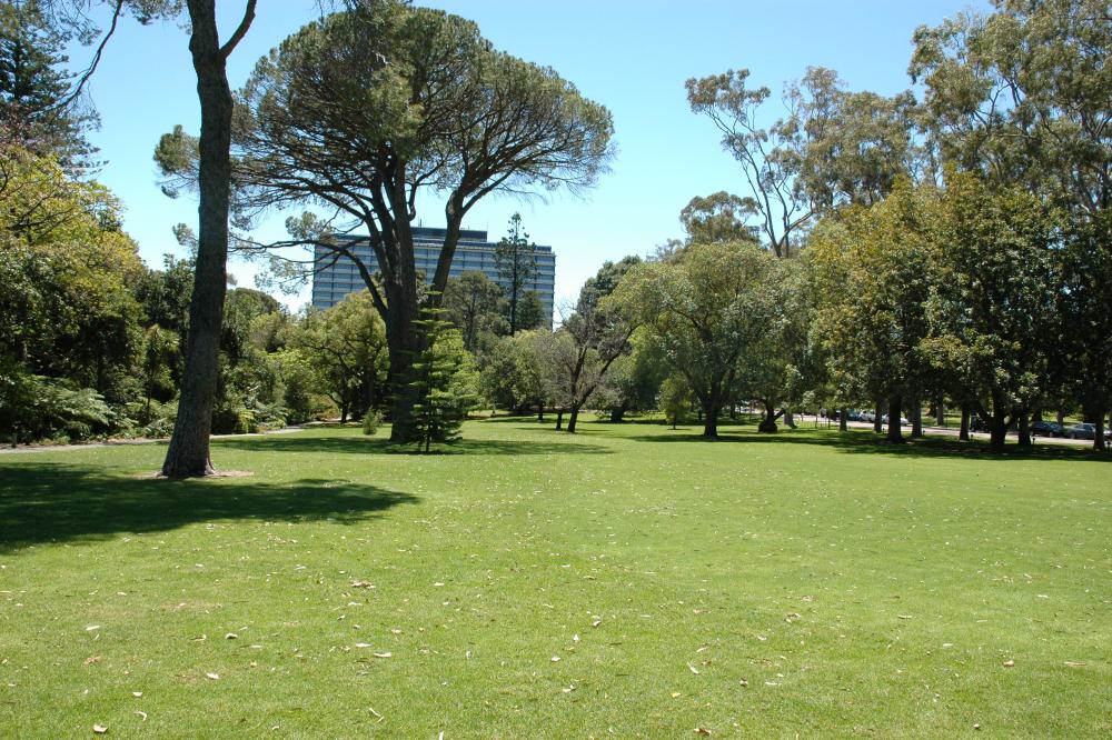 Fraser Avenue Lawn North is a large expanse of lawn near the Fraser Ave entrance to Kings Park.