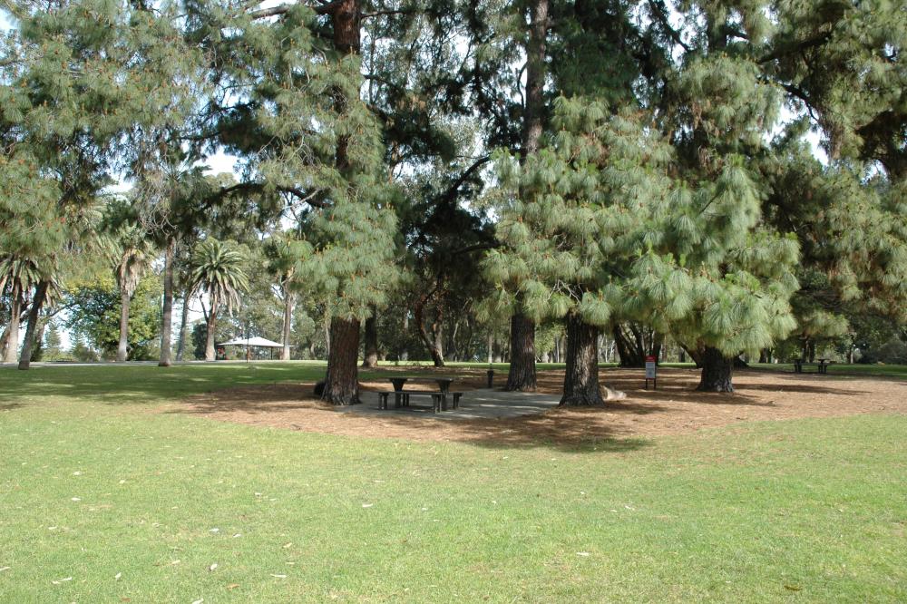 Saw Avenue Lawn East is a large expanse of lawn fringed by palm trees.