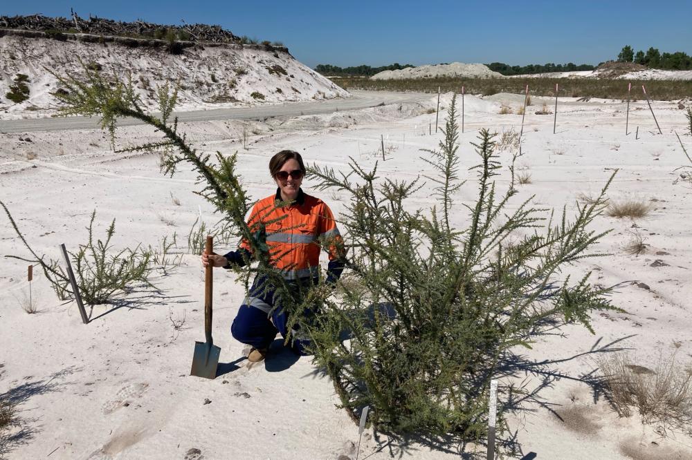 PhD student Vanessa at a Banksia Woodland restoration site.