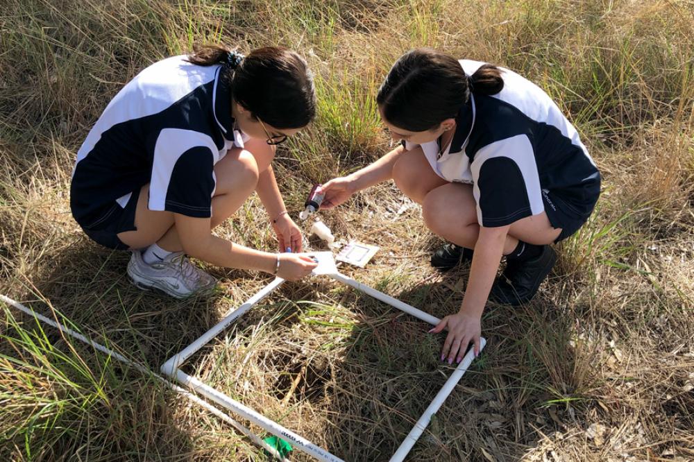 Ecological Field Studies secondary education program