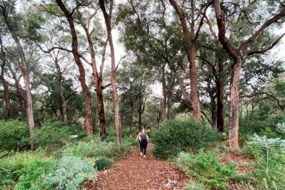 The Hike Collective run a variety of hiking tours in Kings Park and Botanic Garden