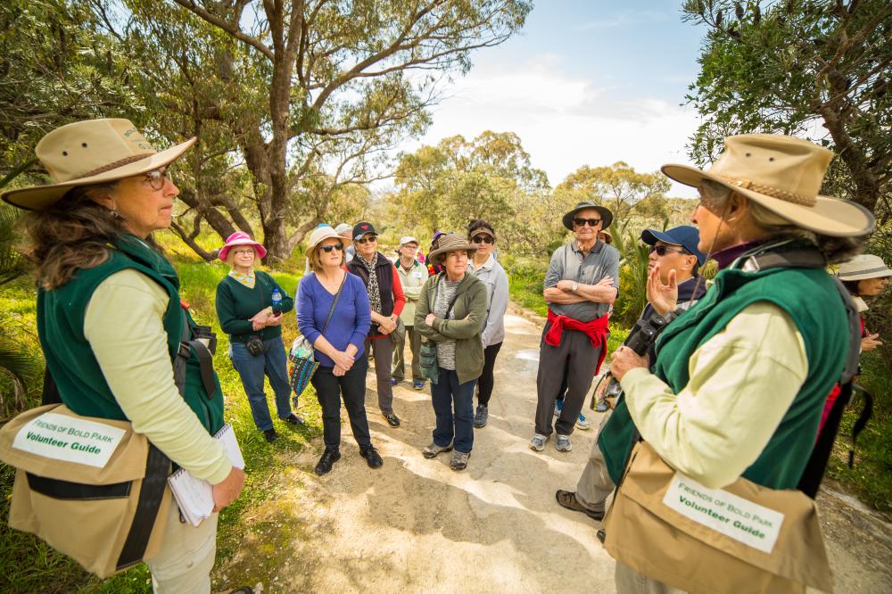 Friends of Bold Park volunteer guided walks.