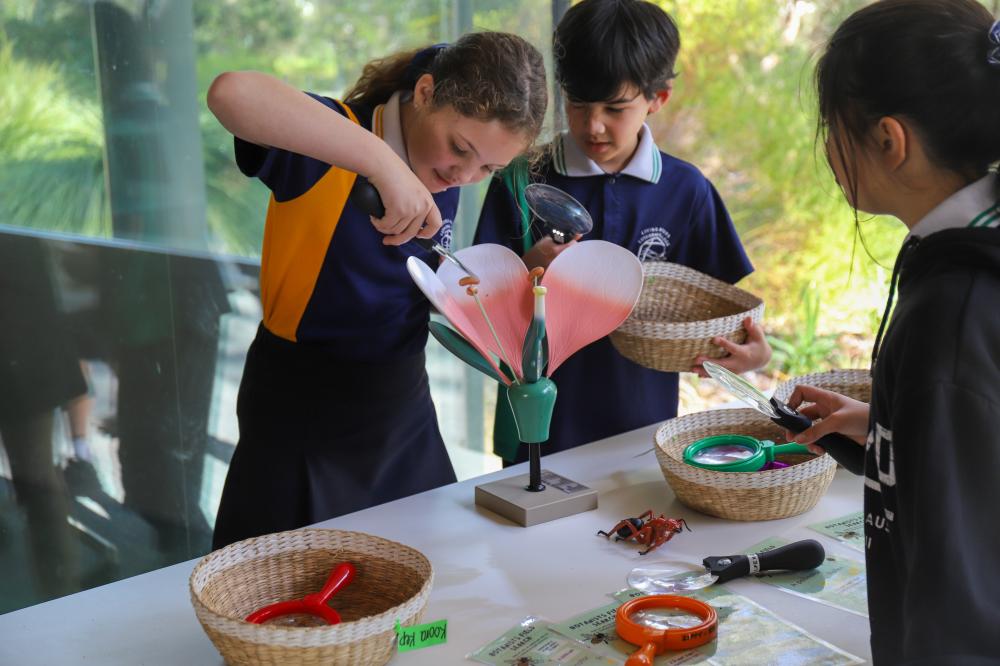 School students participating in a science activity.