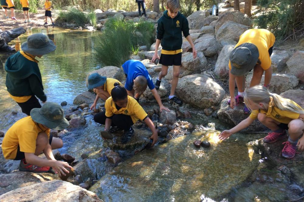 School children in a creek.