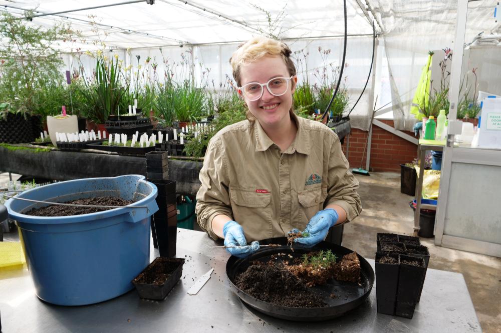 Horticultural trainee at Kings Park.