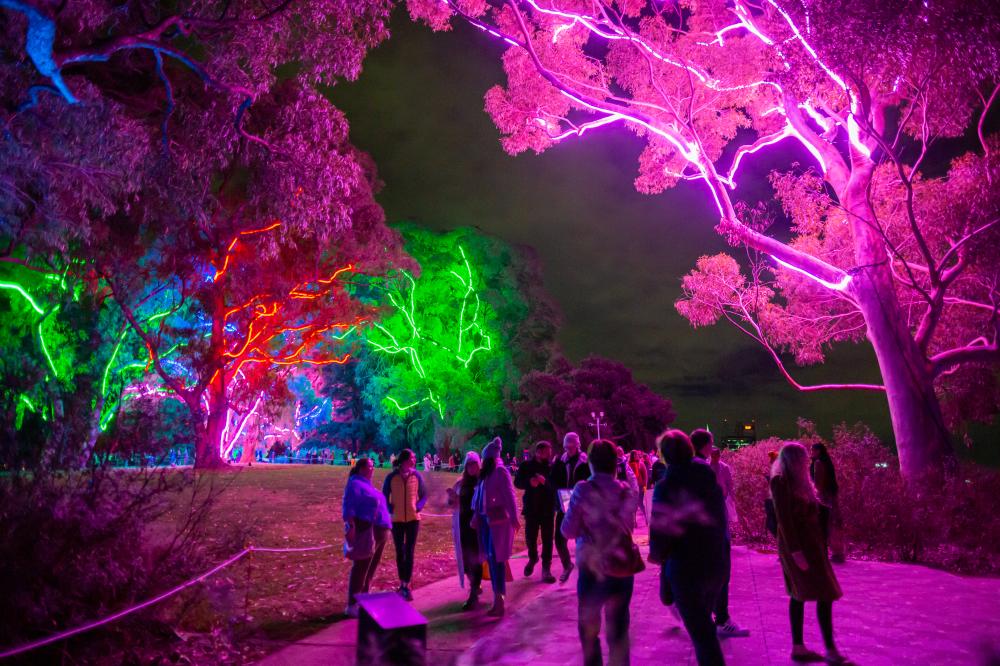 Crowd walking beneath Neon Trees at Lightscape.