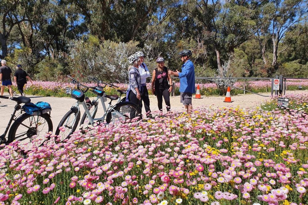 Bike tour in Kings Park