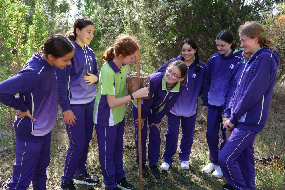 Students examining a bee hotel.