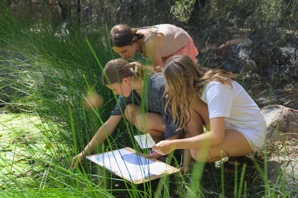 Children examining a wetland.