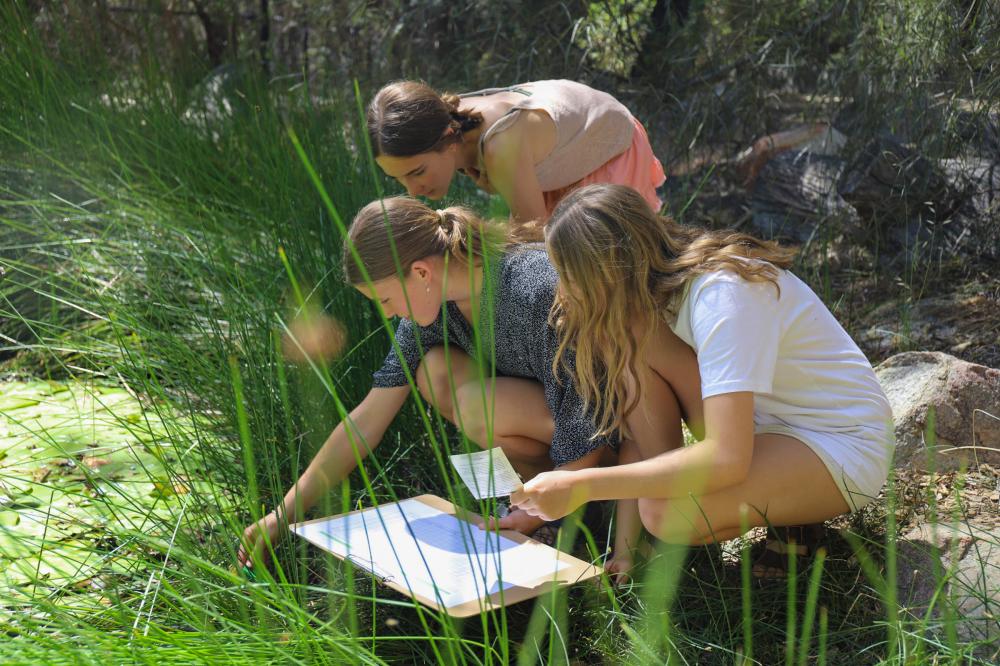 Children examining a wetland.