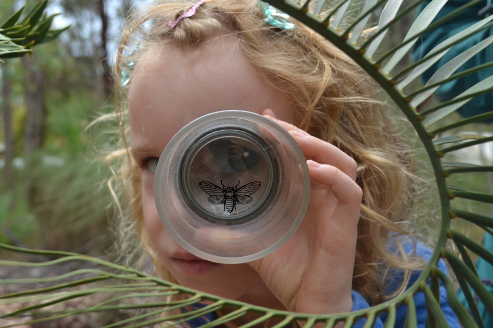 Child looking through a glass at a bug.