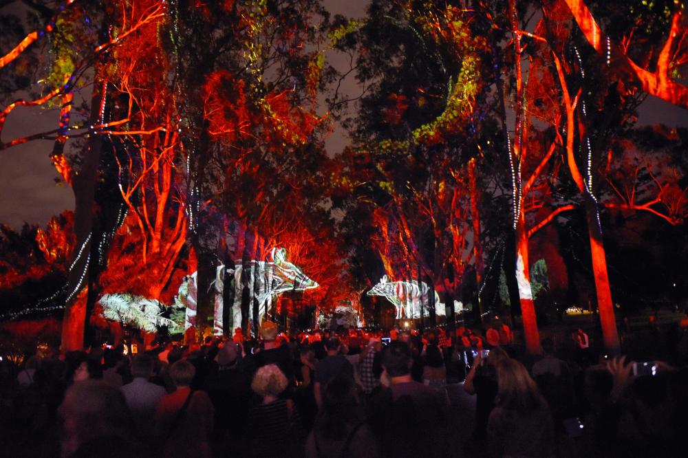 Boorna Waanginy projections in Kings Park