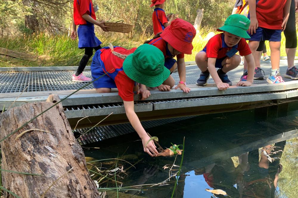 Nature Boat Building