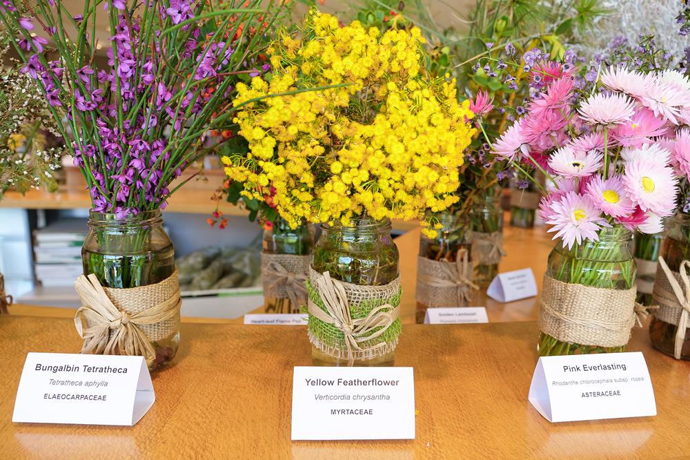 Cut flower display.