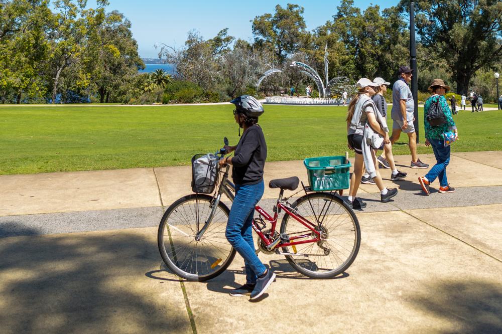 lady-bike-riding-basics
