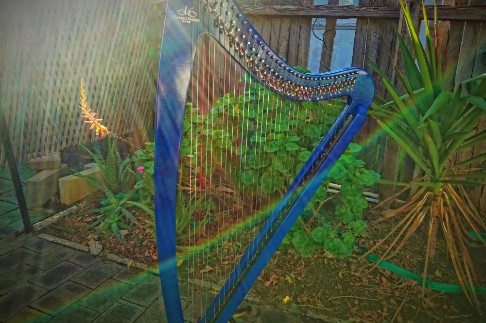 A harp nearby a garden.