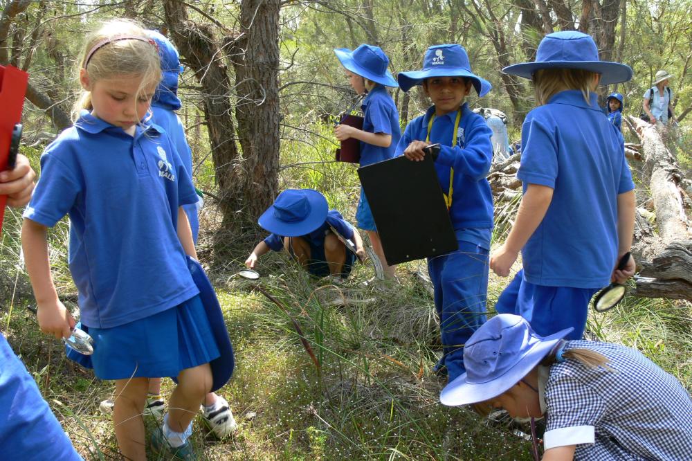 Children on a bush activity.