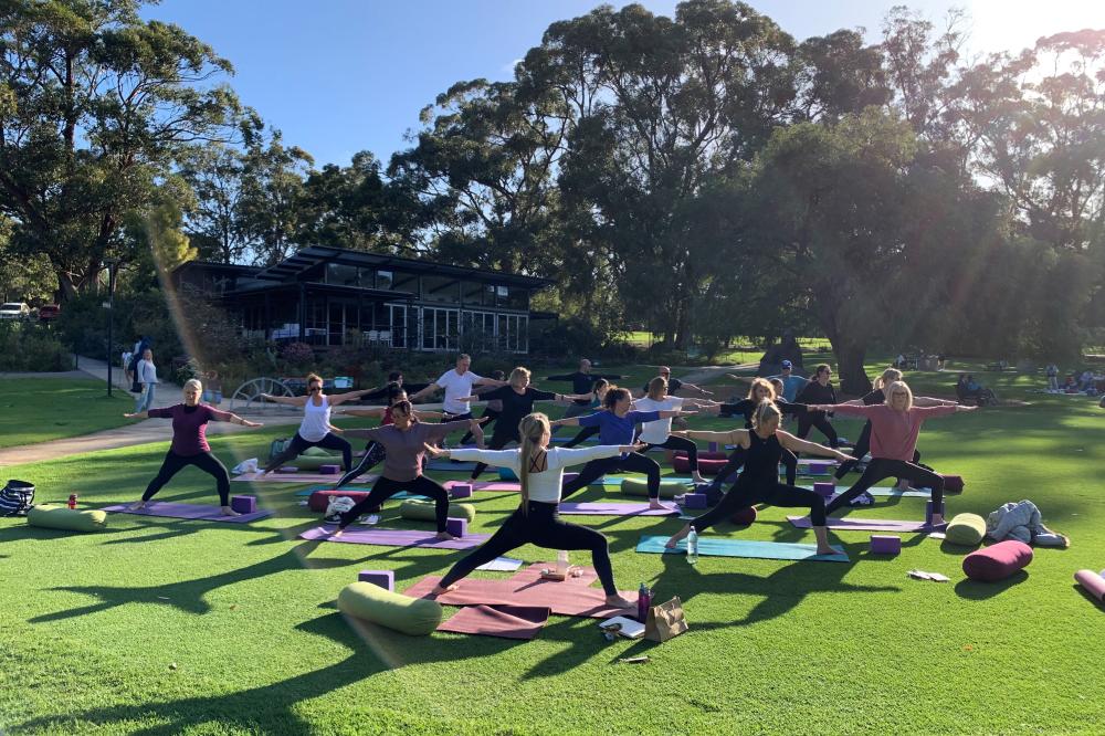 Yoga in Kings Park