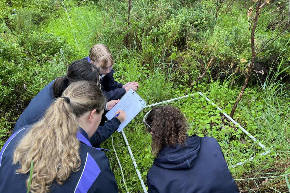 School children studying a quadrat in the bush.