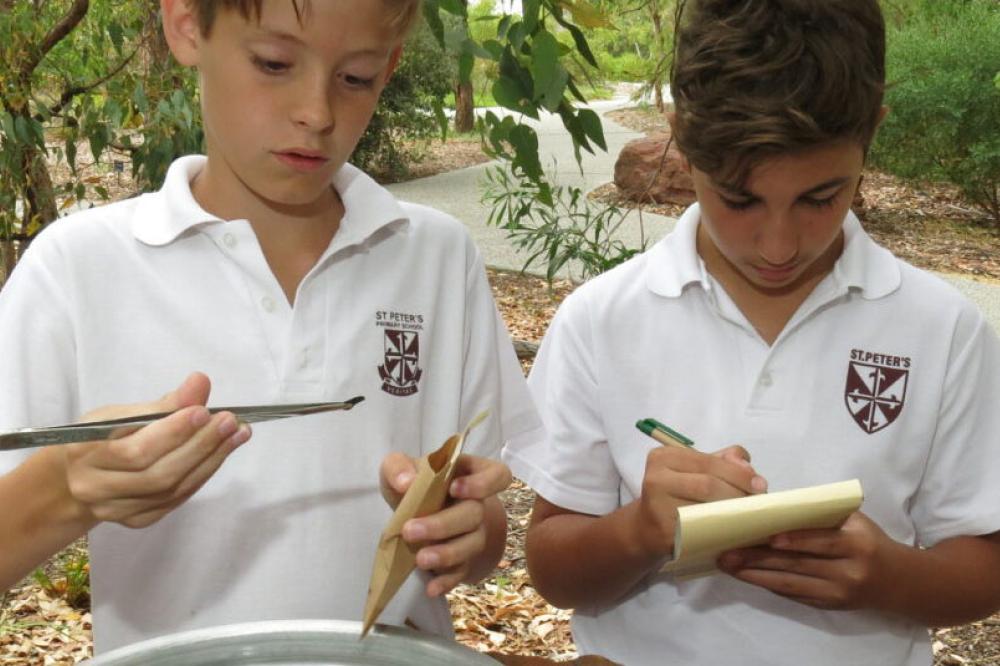 junior bushland carers