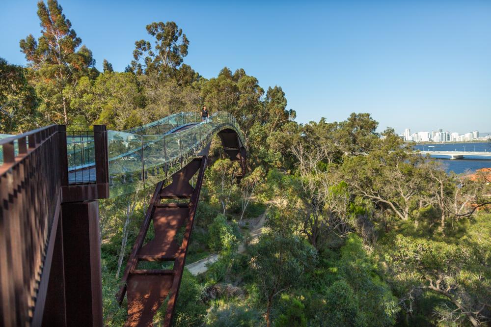 Lotterywest Federation Walkway Bridge at Kings Park