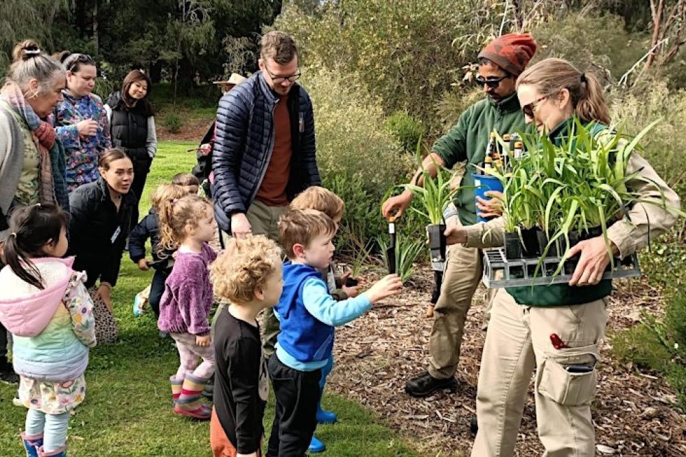 Budding Green Thumbs