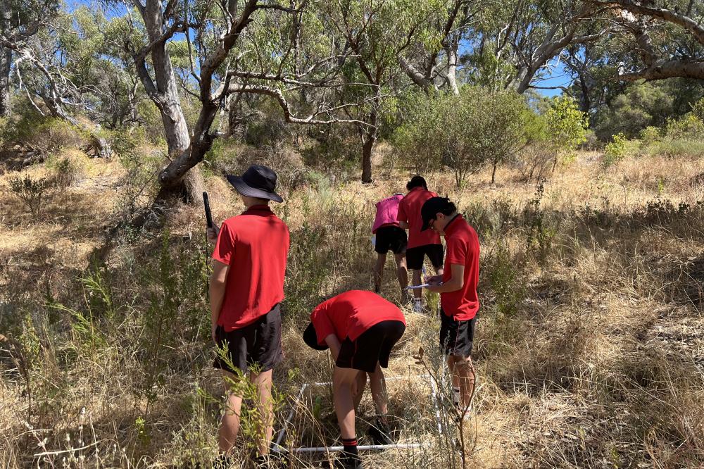 Urban Biodiversity and Fire Management