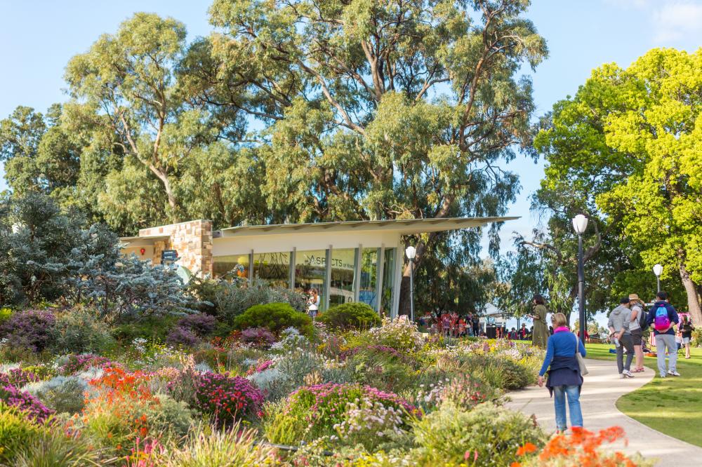 Aspects and the mound from the WA Botanic Garden entrance