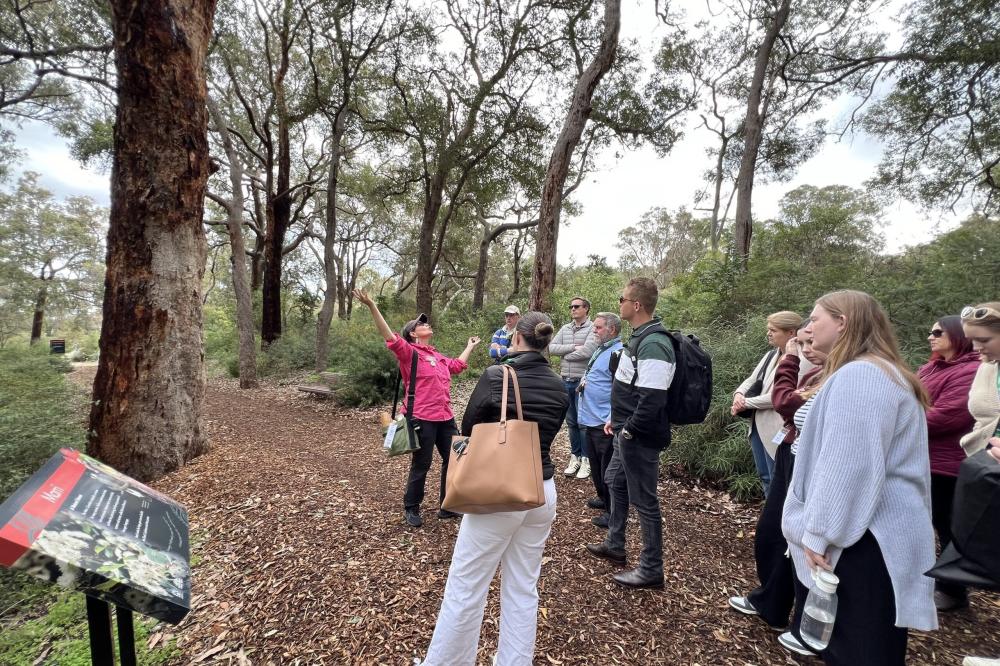Secondary Tree Walk