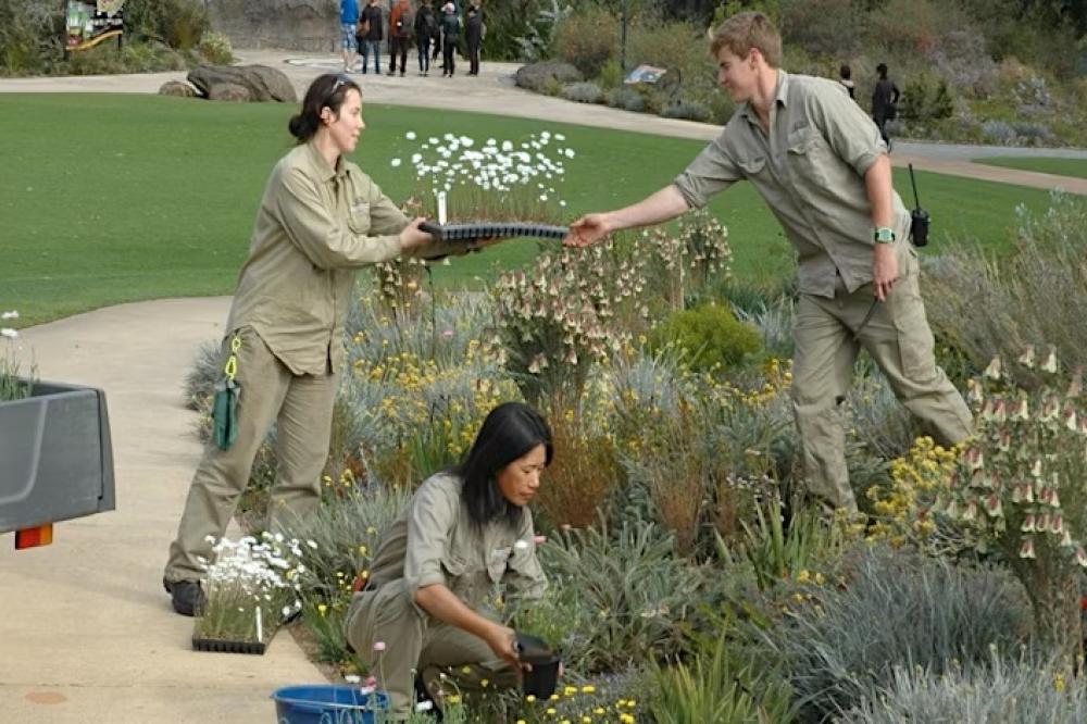 Greening Your Thumb