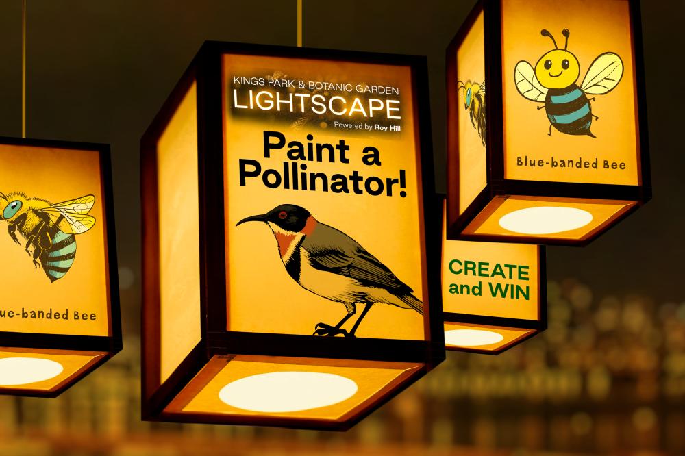 Lightscape_Pollinators