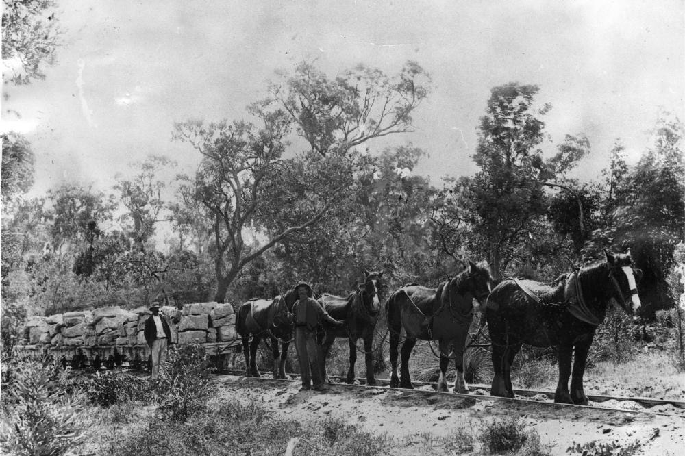 Bush Tales: A Bold Park History Walk 
