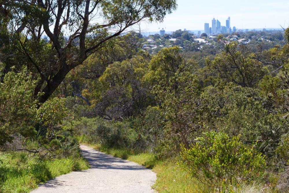 Walking Trail at Bold Park
