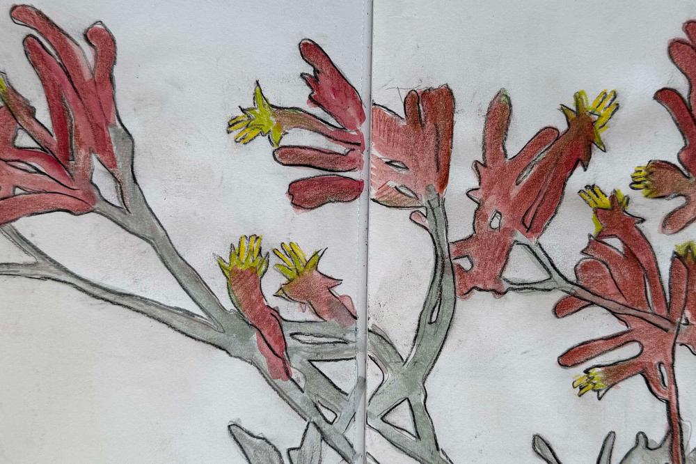 Drawing Wildflowers with Geri Barr