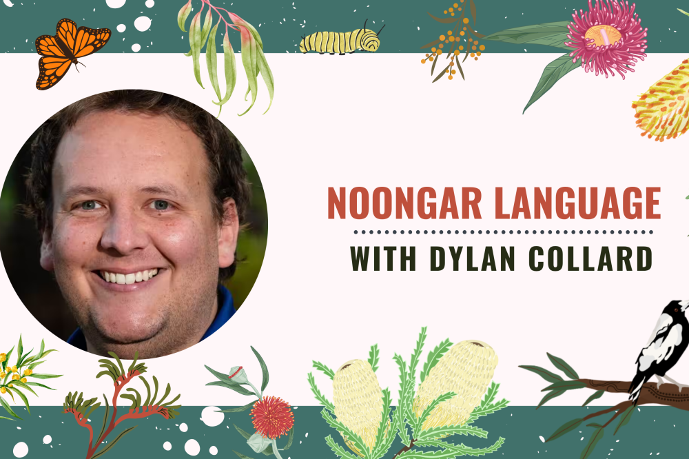 Dylan Collard 