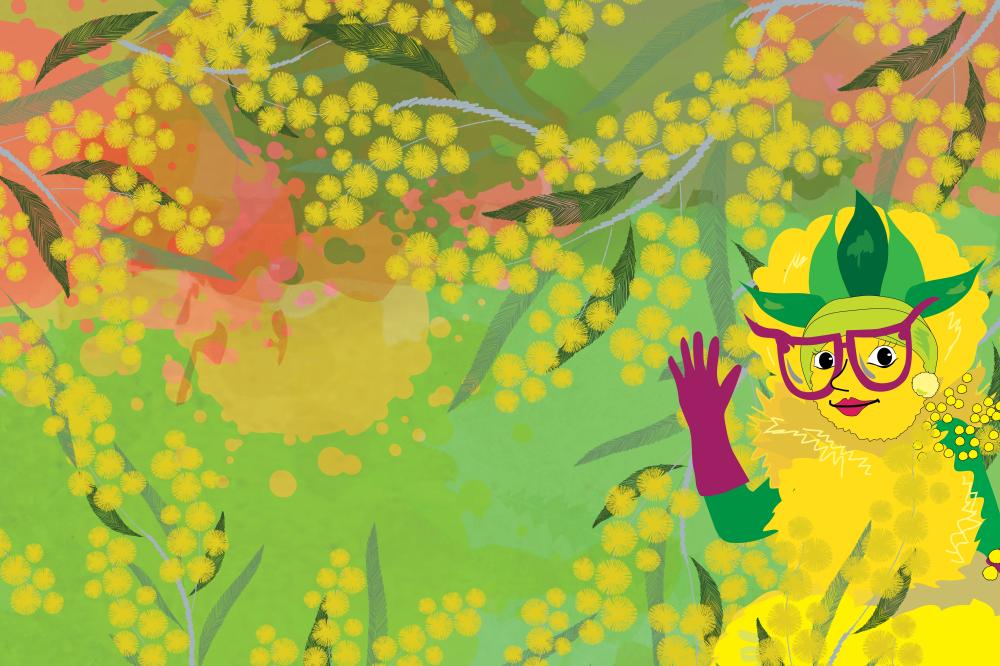 Where's Wattle?