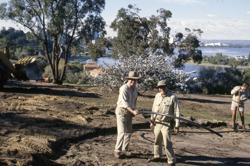 Roe Garden Works 1997 Roe Garden Works 1997