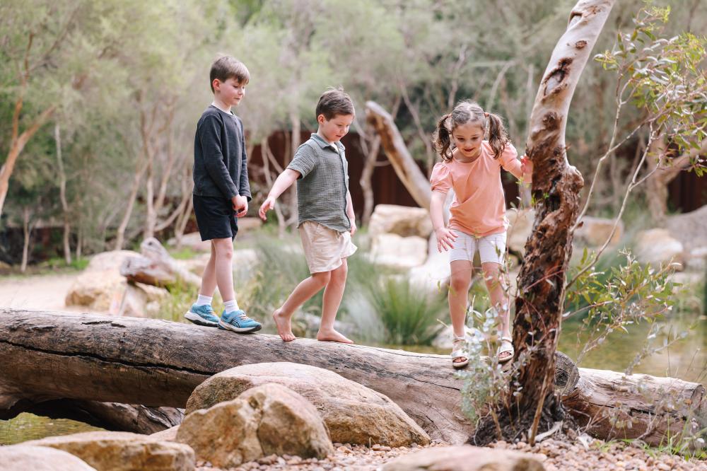 A Big Adventure In Kings Park