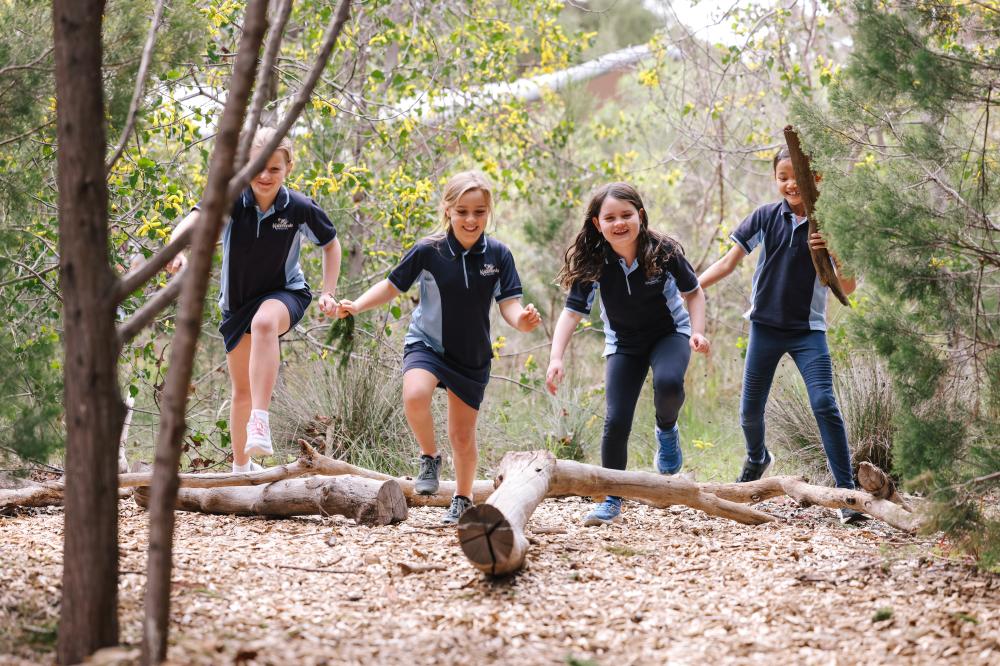 End of Year Big Day Out