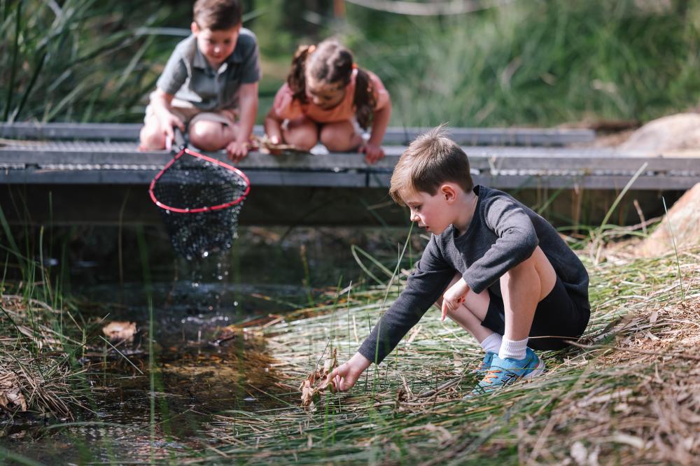 Nature Boat Building