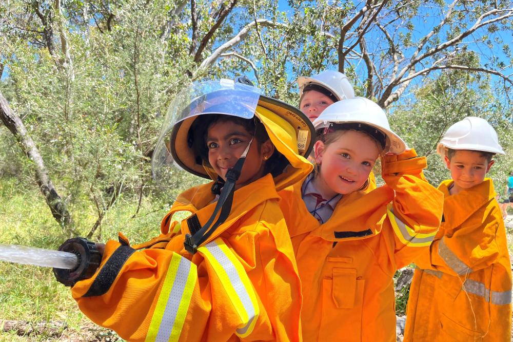 Tawny and the Bushfire Tawny and the Bushfire